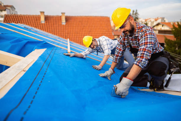 Best Gutter Installation and Roofing  in Maryville, TN